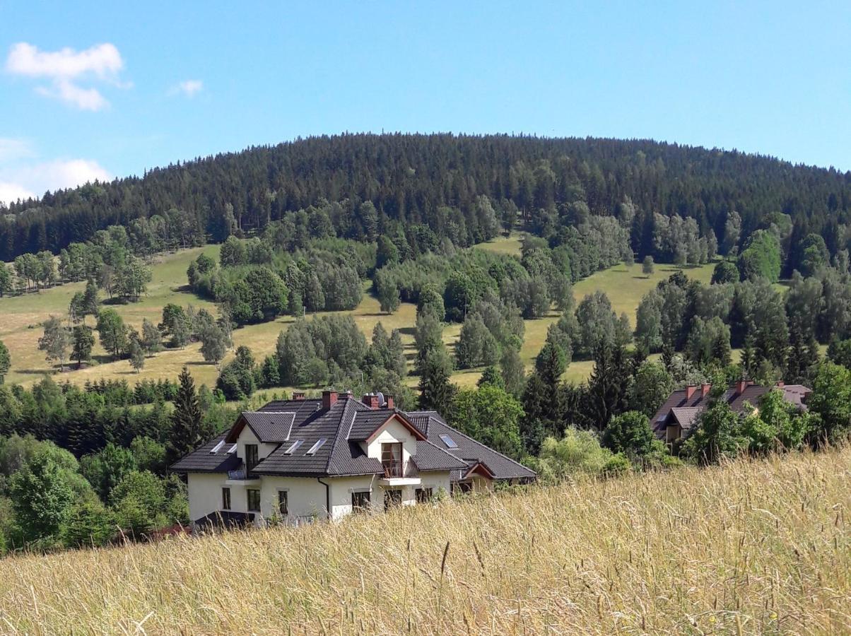 Apartamenty Dom Na Wzgorzu Gardenia Stronie Śląskie 외부 사진